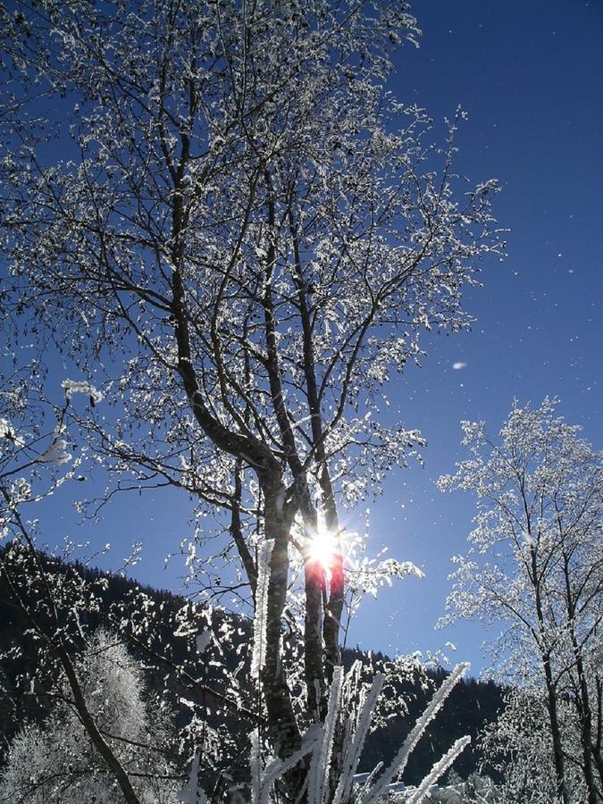 Apartmán Quellenhof D04 Davos Exteriér fotografie